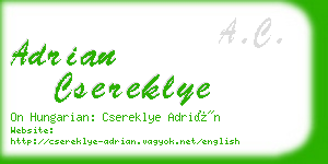 adrian csereklye business card